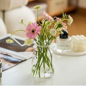 Set Of 12 Hydroponic Glass Bud Vases Centerpieces Vintage Style Wedding Banquet